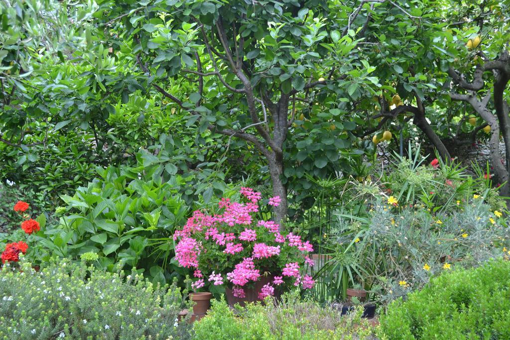 Bed and Breakfast Casa Nobile Tovo San Giacomo Екстер'єр фото